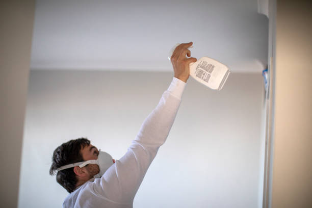 Best Mold Remediation  in Chatsworth, IL